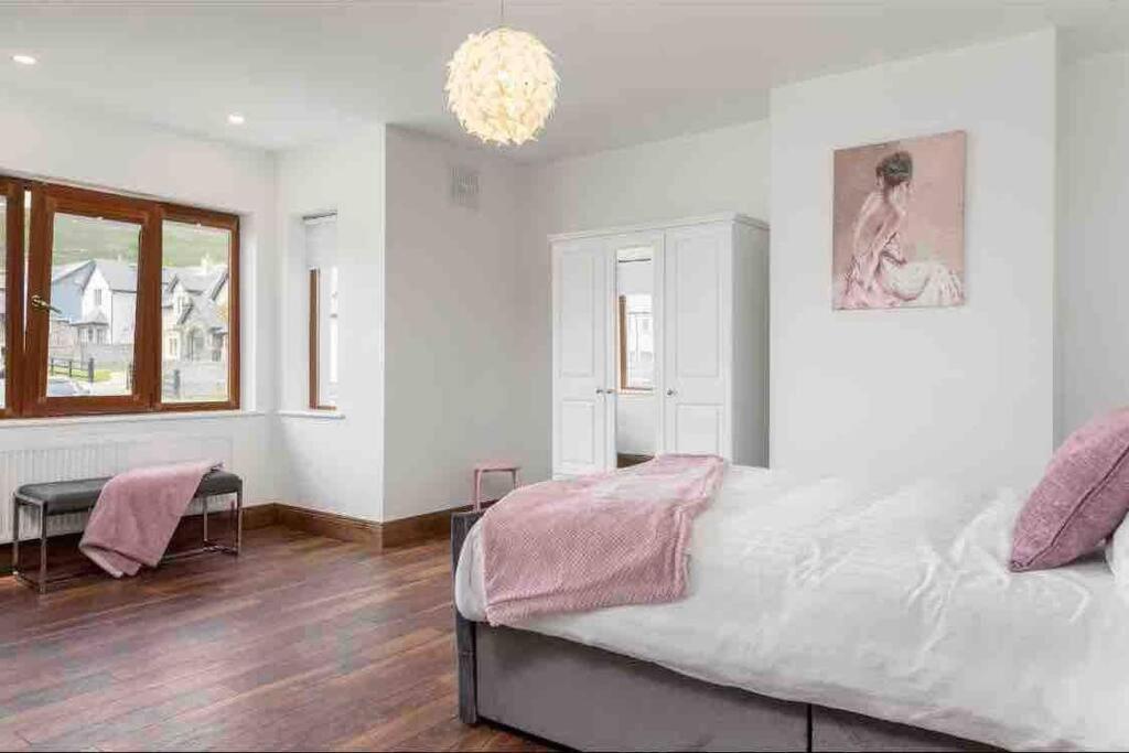 Wonderful Coastal Home In Dingle Town Екстер'єр фото